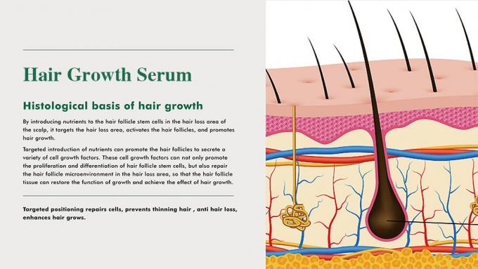 Herbal haarversterker voor mannen Voorkomen haarverlies Hergroeien haar Verbeteren volume 3 maand aanbod 0