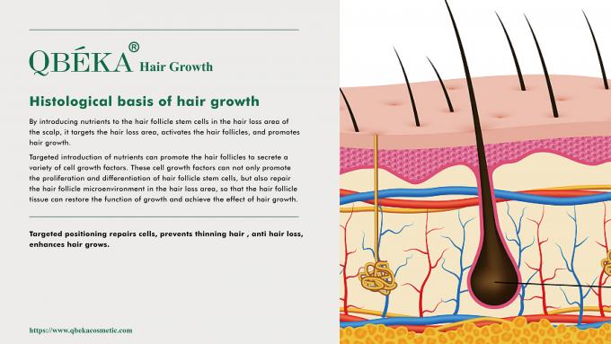 GMPC Standard Haarverlies Preventie Shampoo voor haarverlies en dunner worden behandeling 80m 2