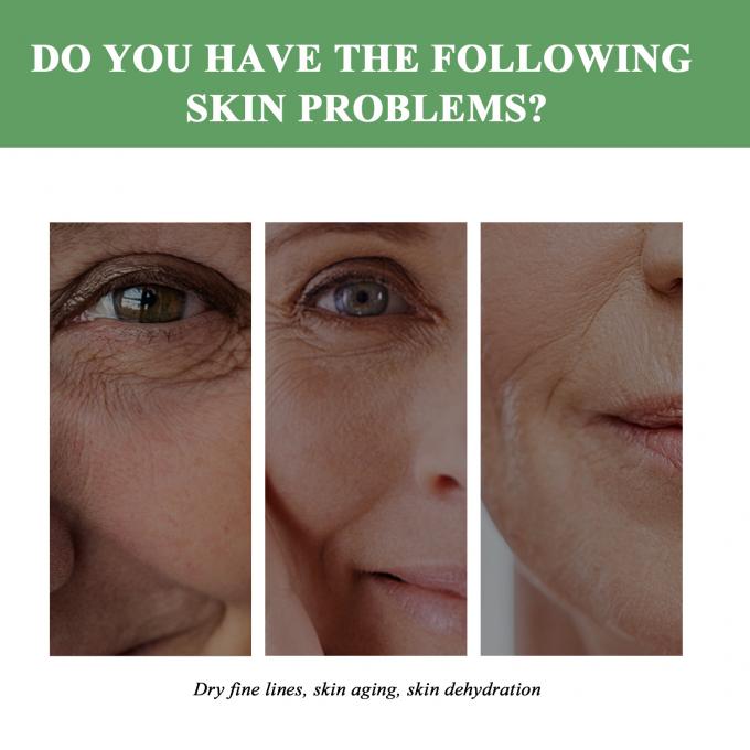 Regelmatige grootte Anti-aging moisturizer biologische natuurlijke rimpelopheffende crème voor volwassenen 6
