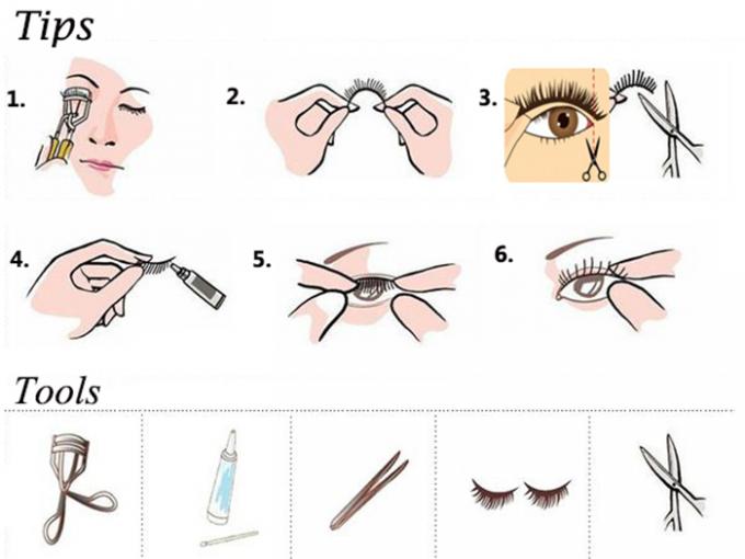 10mm-15mm natuurlijke lange valse wimpers 5 paar synthetische gekleurde haarverlengingen 6